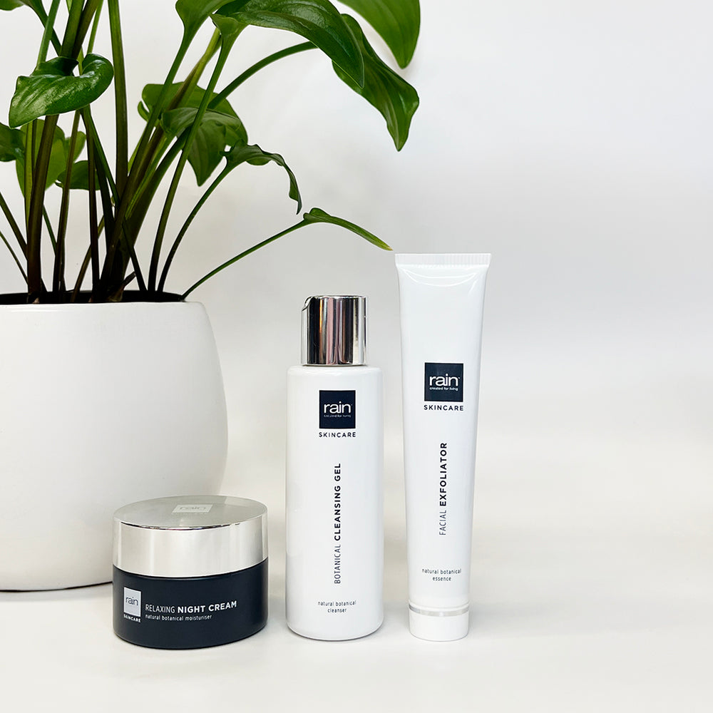 standard night routine โ Rain Natural Skincare SA